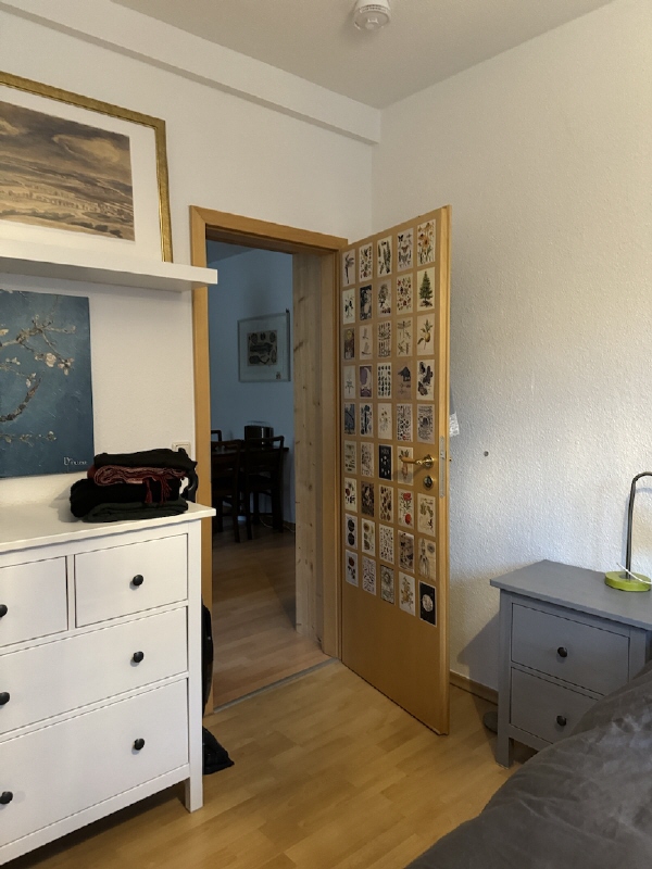 Wohnung EG Mehrfamilienhaus Dresden