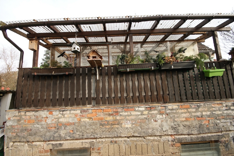Terrasse Haus Dresden