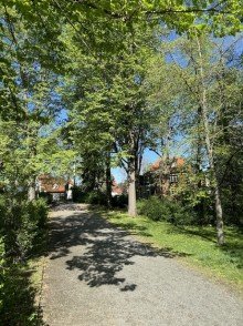 Park Urbanes Wohnflair trifft Naturidylle - Doppelhaush�lfte direkt am Leutewitzer Park