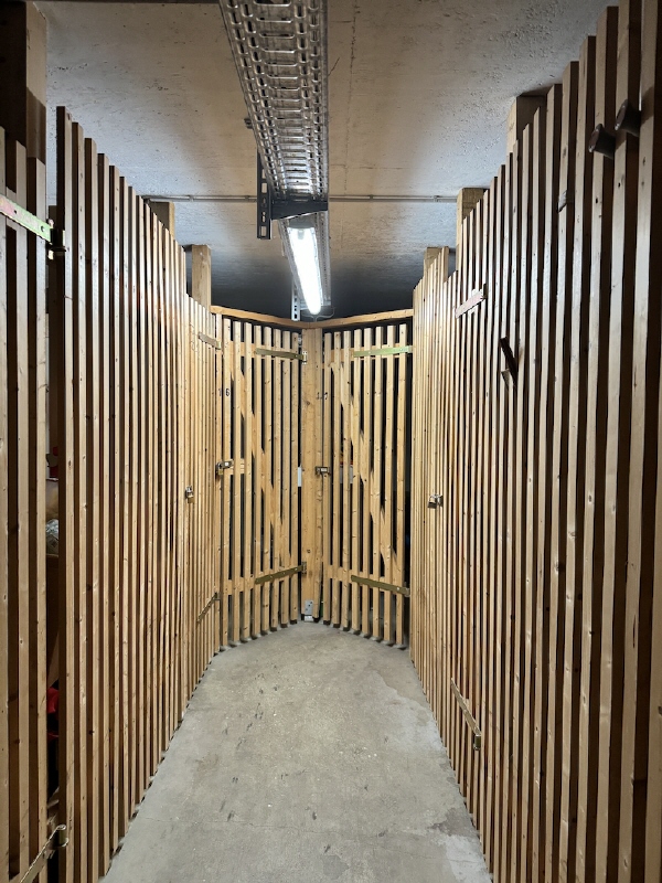 Keller Wohnung Dresden