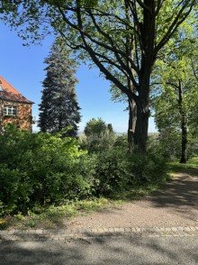 Park Urbanes Wohnflair trifft Naturidylle - Doppelhaush�lfte direkt am Leutewitzer Park