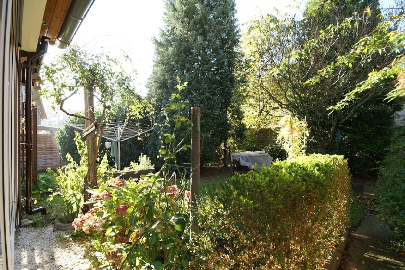 Garten Einfamilienhaus Dresden