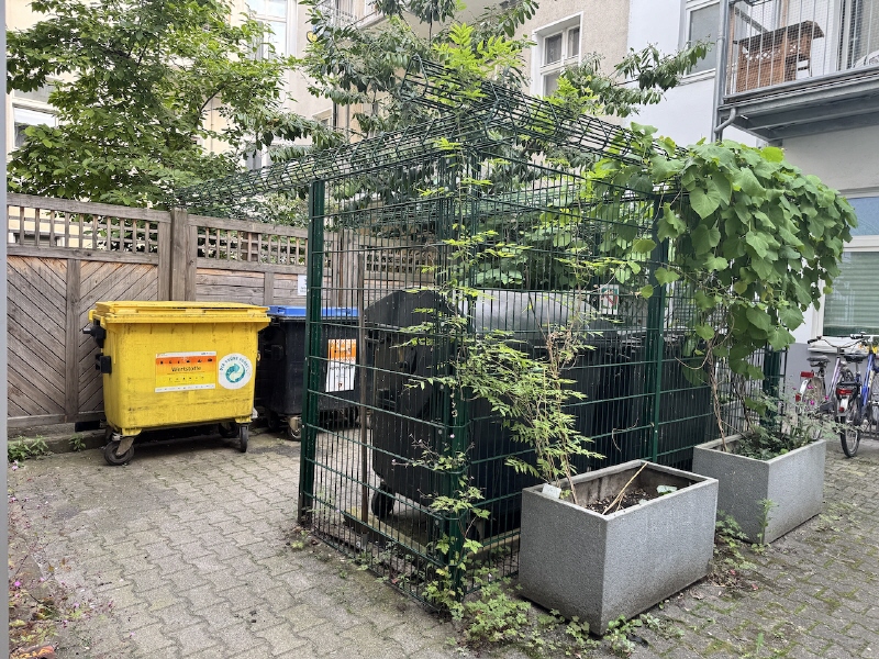 IMG_7918 Wohnung Berlin-Spandau