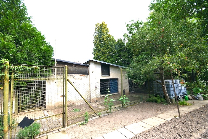 H�hnerstall Haus Dresden