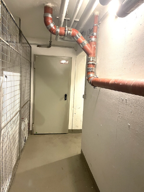 Keller Wohnung Dresden
