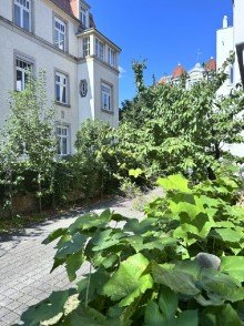 Detail Wohnung oder B�ro?