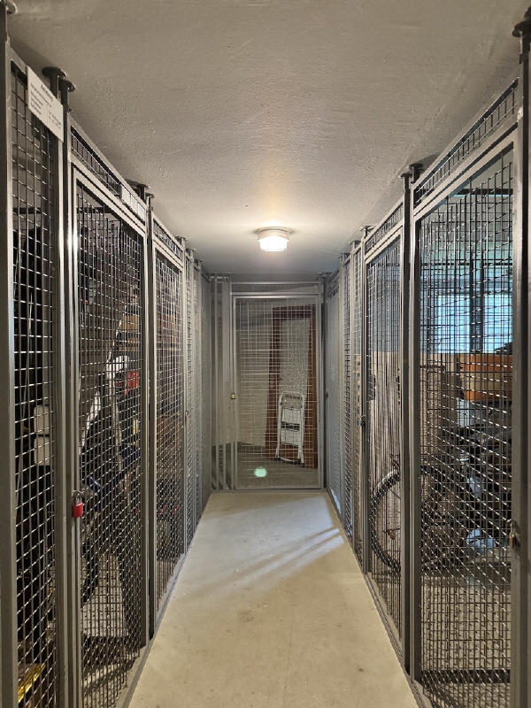 Keller Wohnung Dresden
