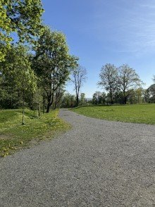 Park Urbanes Wohnflair trifft Naturidylle - Doppelhaush�lfte direkt am Leutewitzer Park