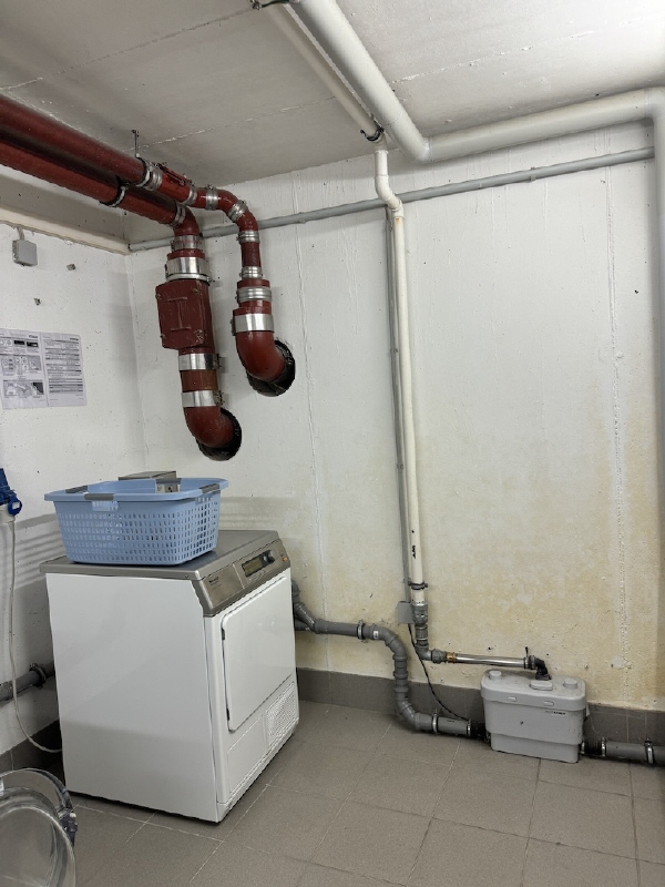 M�nztrockner Wohnung Dresden
