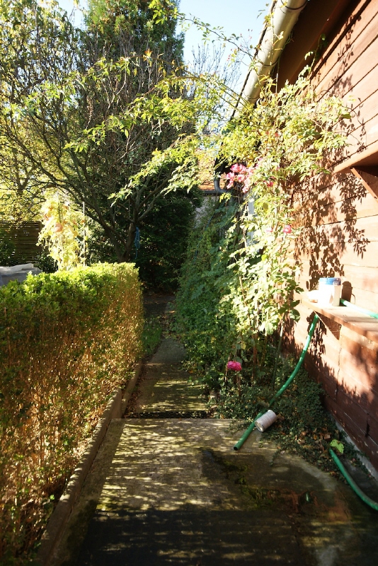 Garten Einfamilienhaus Dresden