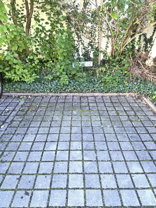 Stellplatz dazu Wohnung Dresden