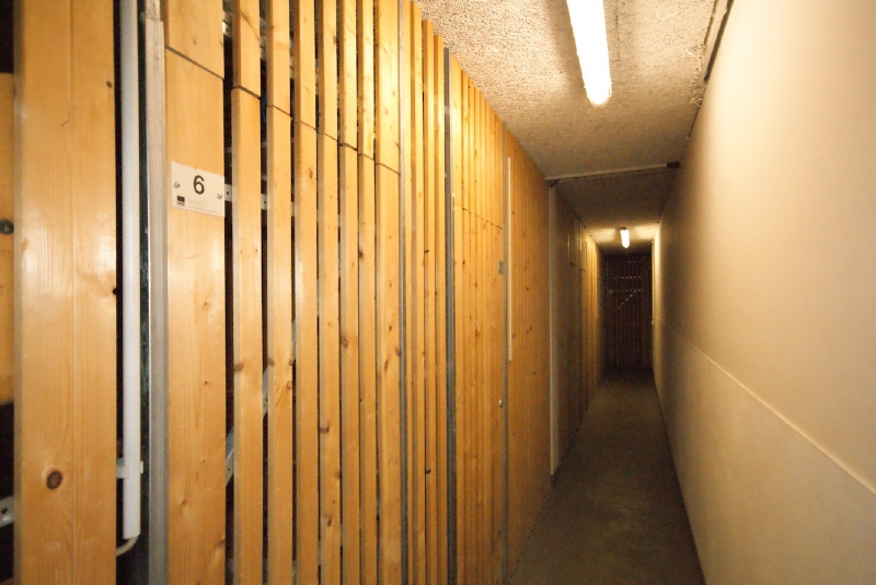 Keller Wohnung Dresden