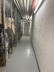 Keller Ihr perfektes Investment: Attraktive 3-Zimmer-Wohnung im begehrten F�rsten Park Dresden!
