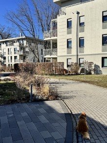 Geb�udeensemble Exklusive Lage im Preu�ischen Viertel - Penthouse mit Kamin, Privatsph�re & freiem Blick