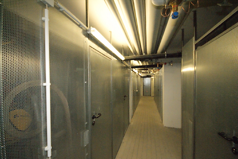 Keller Wohnung Dresden